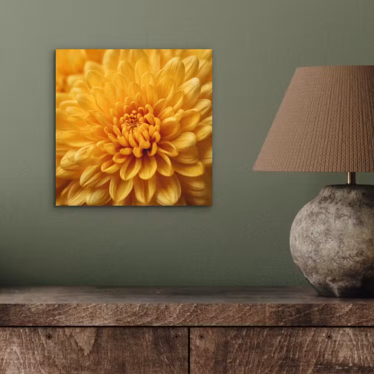 Geel - Chrysant - Zachtheid aluminium wit klein -sfeer2