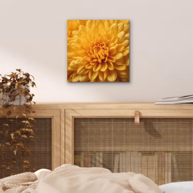 Geel - Chrysant - Zachtheid aluminium wit klein -sfeer3