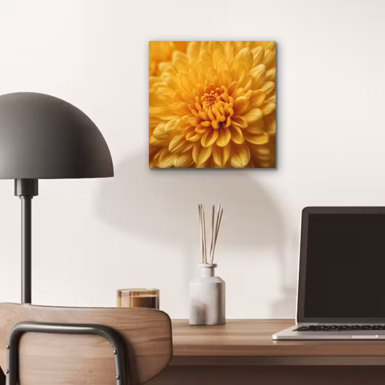 Geel - Chrysant - Zachtheid aluminium wit klein -sfeer5