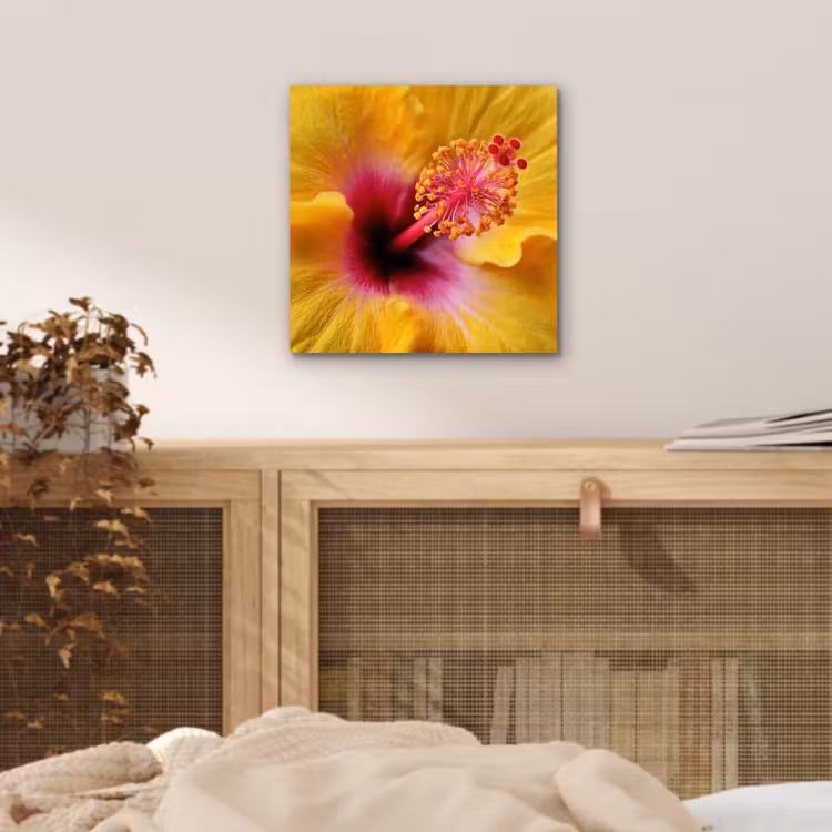 Geel - Hibiscus - Tropisch aluminium wit klein -sfeer3