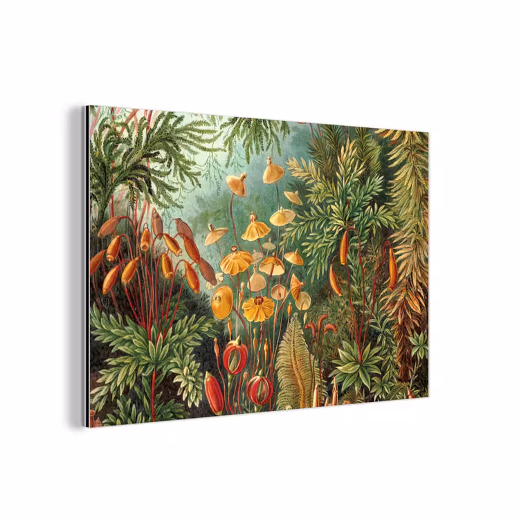 Design - Natuur - Paddenstoelen - Ernst Haeckel aluminium wit klein -3d
