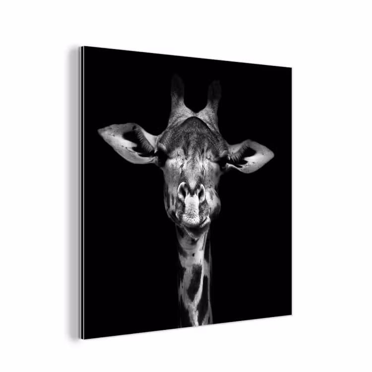 Giraffe - Portret - Dieren - Zwart - Wit aluminium wit klein -3d