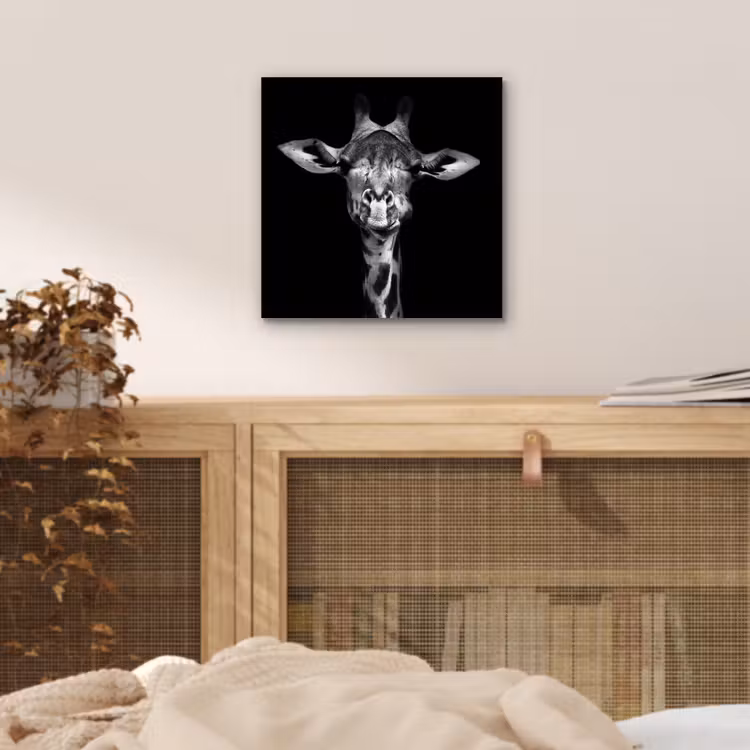 Giraffe - Portret - Dieren - Zwart - Wit aluminium wit klein -sfeer3
