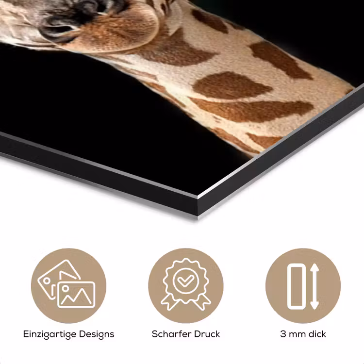 Giraffe - Dieren - Zwart - Portret - Dieren aluminium wit klein -closeup_DE