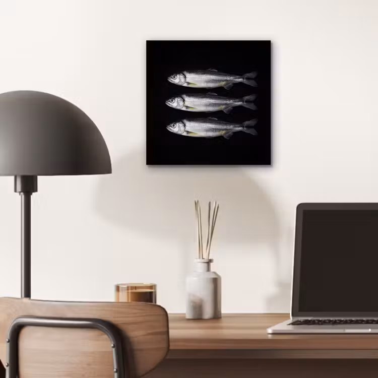 Haring - Vissen - Zwart aluminium wit klein -sfeer5