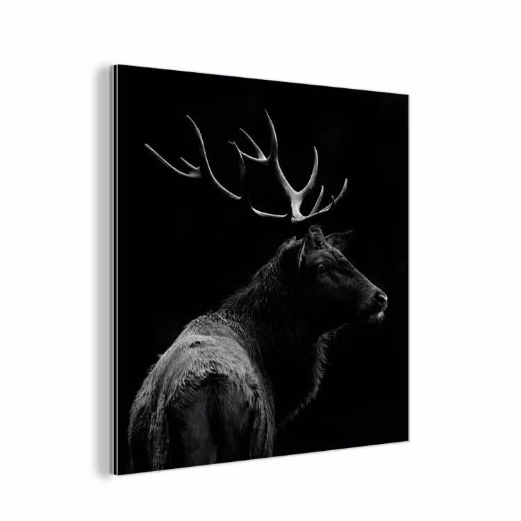 Hert - Zwart - Portret - Gewei - Dieren aluminium wit klein -3d