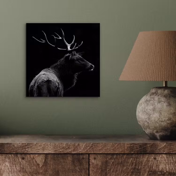 Hert - Zwart - Portret - Gewei - Dieren aluminium wit klein -sfeer2
