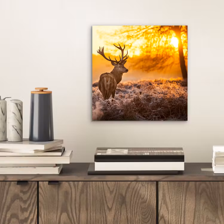Hert - Dieren - Zonsondergang - Winter - Heide - Natuur aluminium wit klein -sfeer1