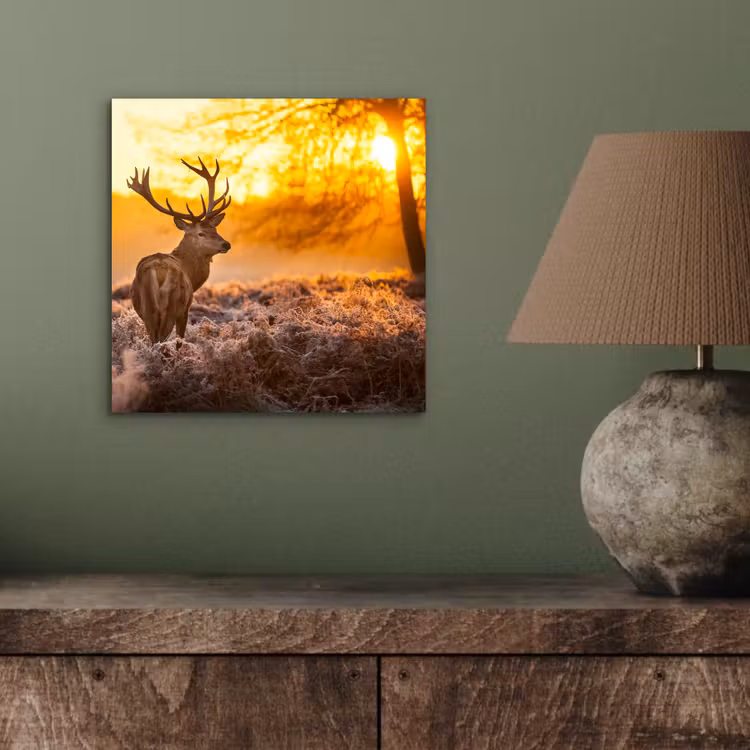 Hert - Dieren - Zonsondergang - Winter - Heide - Natuur aluminium wit klein -sfeer2