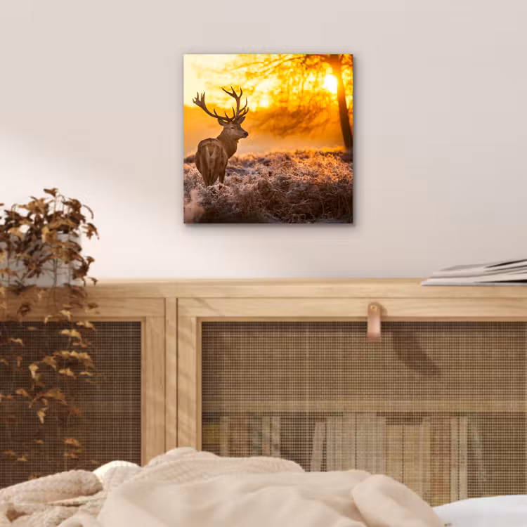 Hert - Dieren - Zonsondergang - Winter - Heide - Natuur aluminium wit klein -sfeer3