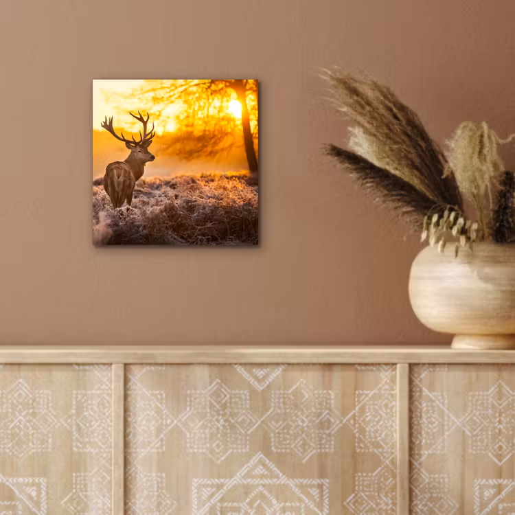 Hert - Dieren - Zonsondergang - Winter - Heide - Natuur aluminium wit klein -sfeer4