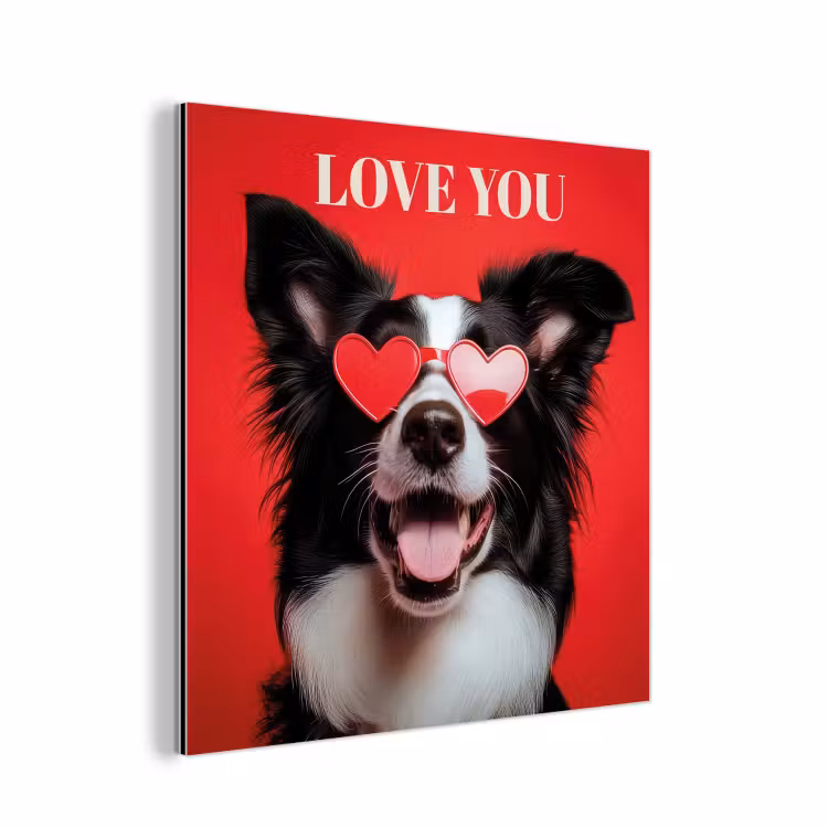Hond - Hartjesbril - Loveyou - Rood aluminium wit klein -3d