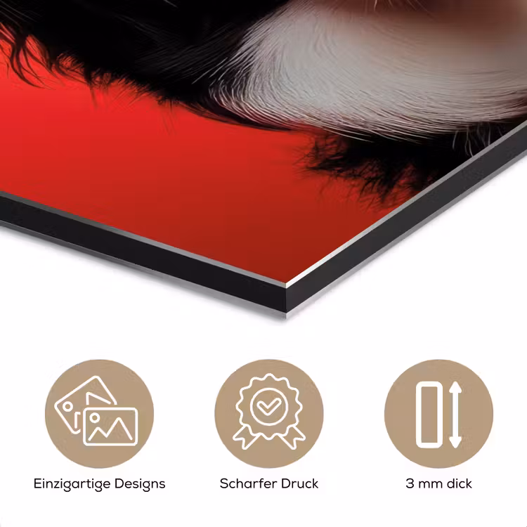 Hond - Hartjesbril - Loveyou - Rood aluminium wit klein -closeup_DE