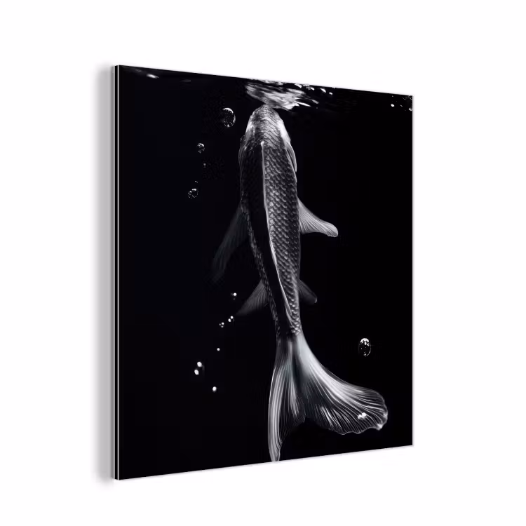 Koi - Vissen - Water - Zwart aluminium wit klein -3d