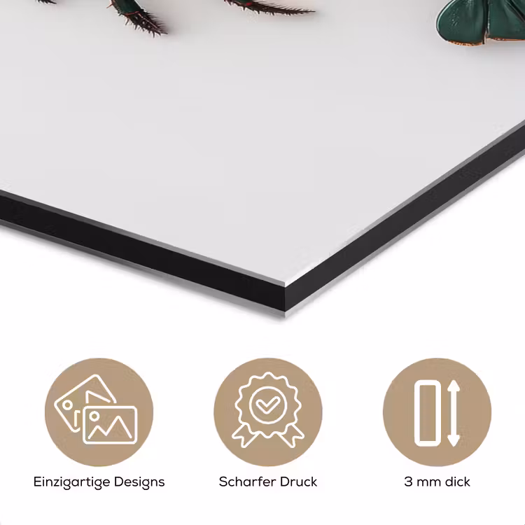 Kreeft - Glossier - Groen - Wit aluminium wit klein -closeup_DE