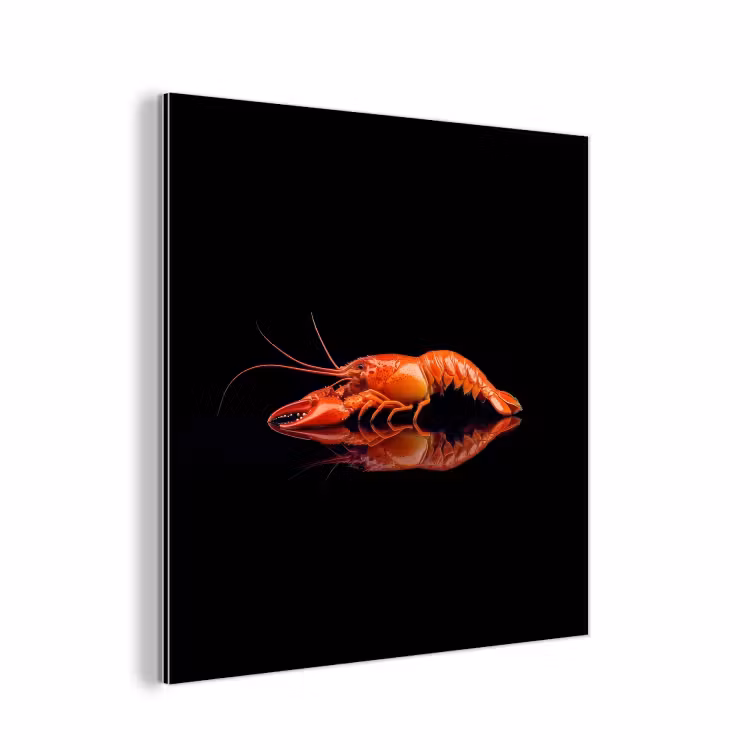 Kreeft - Oranje - Zwart - Opvallend aluminium wit klein -3d