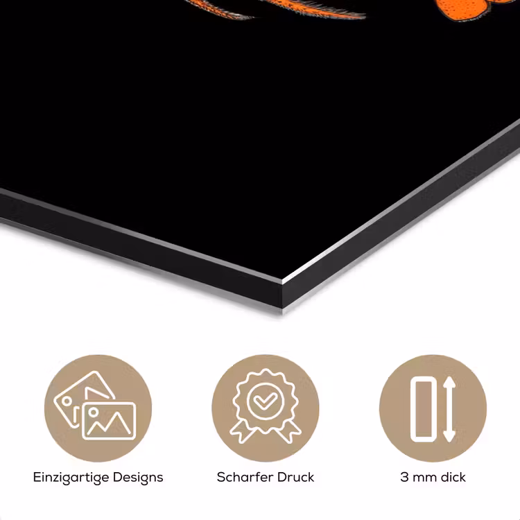 Kreeft - Oranje - Zwart - Modern aluminium wit klein -closeup_DE