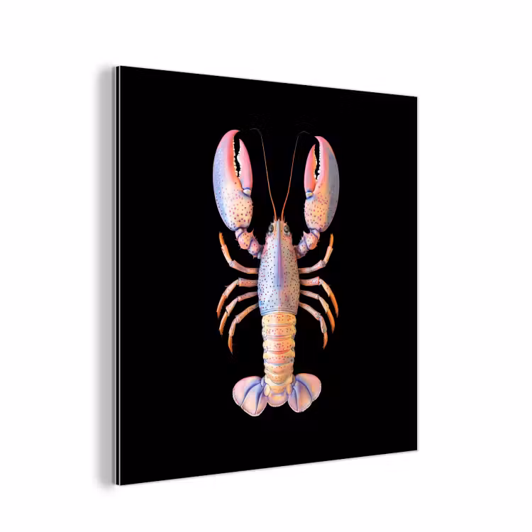 Kreeft - Roze - Zacht - Zwart aluminium wit klein -3d