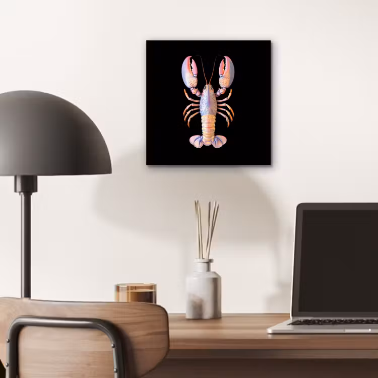 Kreeft - Roze - Zacht - Zwart aluminium wit klein -sfeer5