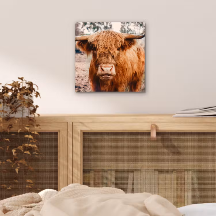Koe- Schotse hooglander - Hoorns - Bruin - Landschap aluminium wit klein -sfeer3