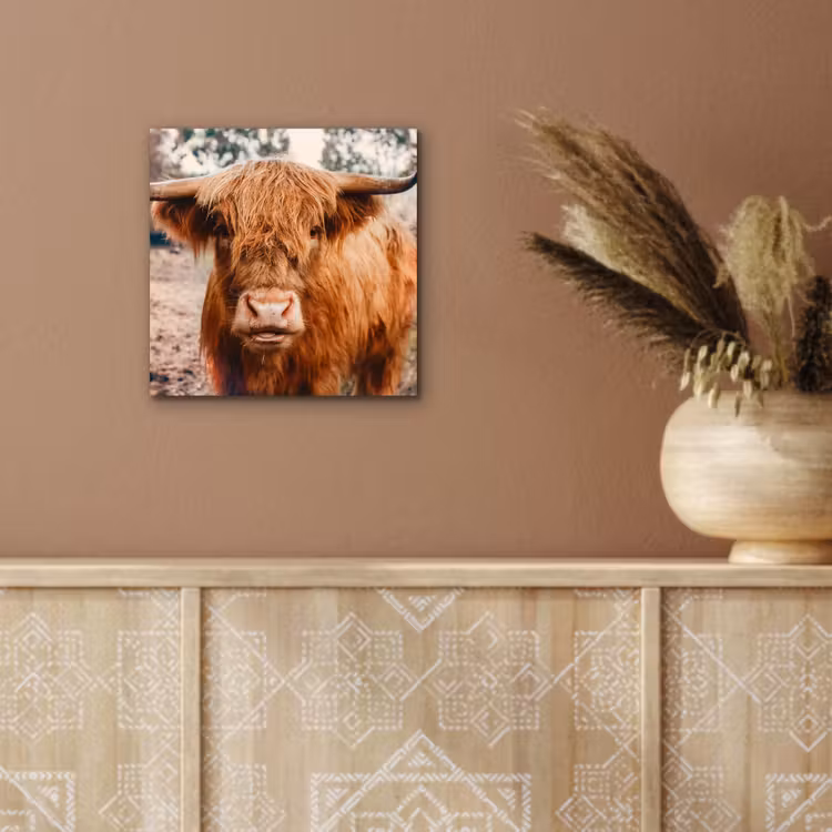 Koe- Schotse hooglander - Hoorns - Bruin - Landschap aluminium wit klein -sfeer4