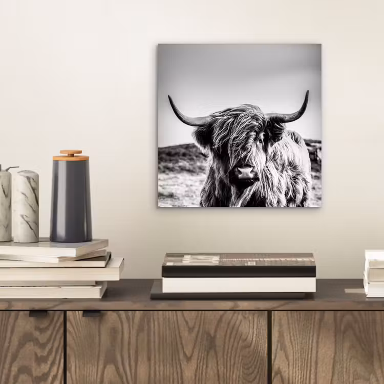 Koe - Schotse hooglander - Zwart - Wit - Dier - Natuur - Wild aluminium wit klein -sfeer1