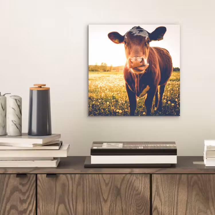Koe - Zonsondergang - Bloemen - Gras - Dieren aluminium wit klein -sfeer1