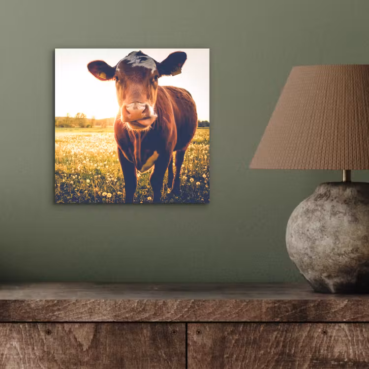 Koe - Zonsondergang - Bloemen - Gras - Dieren aluminium wit klein -sfeer2