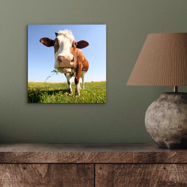 Koe - Dieren - Bloemen - Gras aluminium wit klein -sfeer2