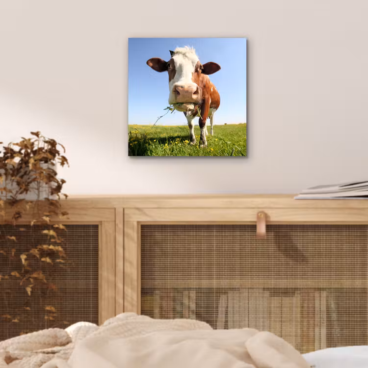 Koe - Dieren - Bloemen - Gras aluminium wit klein -sfeer3