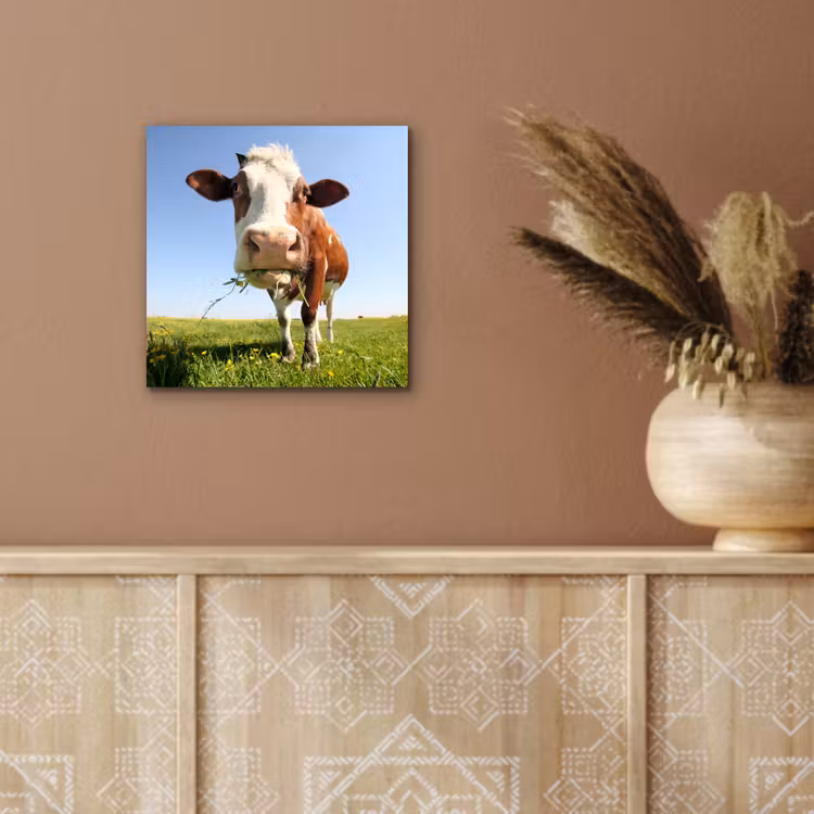 Koe - Dieren - Bloemen - Gras aluminium wit klein -sfeer4