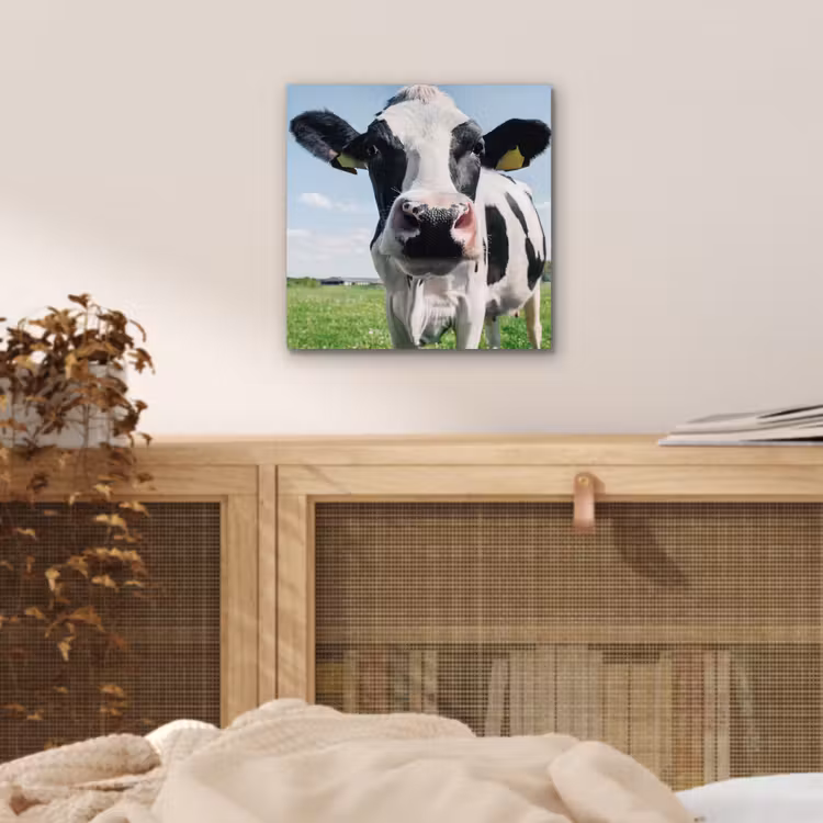 Koe - Weiland - Natuur - Dieren - Gras aluminium wit klein -sfeer3
