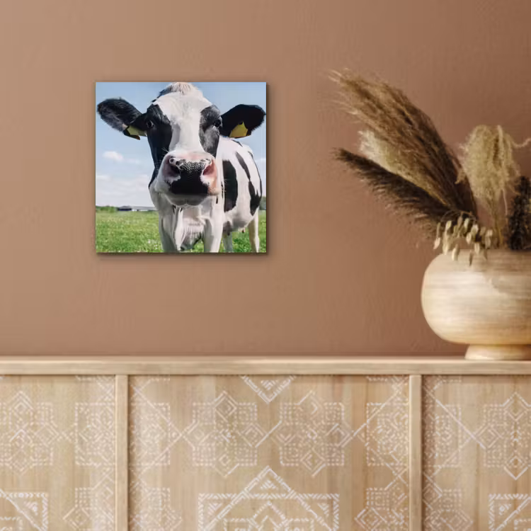 Koe - Weiland - Natuur - Dieren - Gras aluminium wit klein -sfeer4