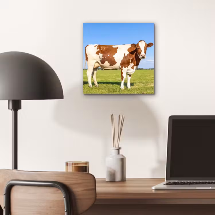 Koeien - Boerderij - Gras- Natuur - Dieren aluminium wit klein -sfeer5