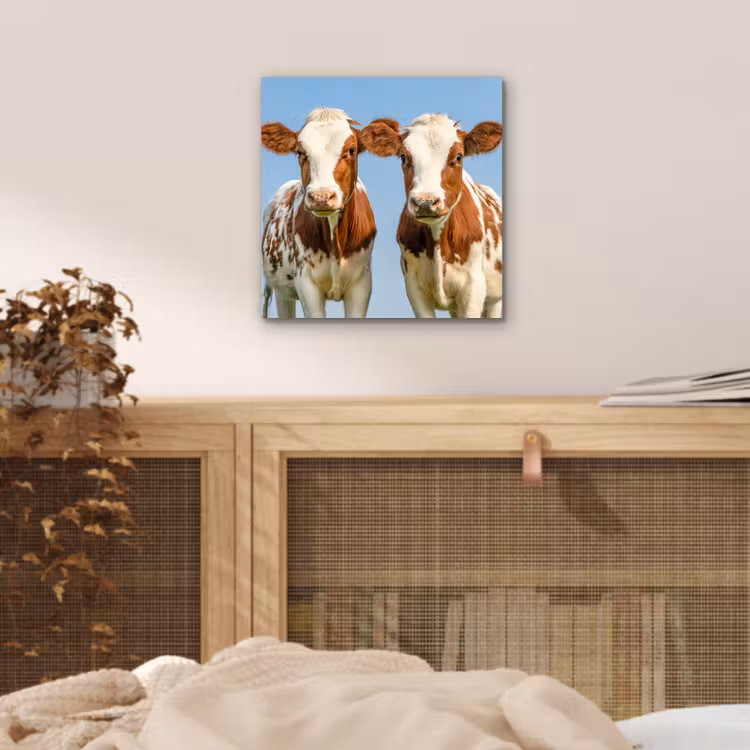 Koeien - Lucht - Dieren - Boerderij - Portret aluminium wit klein -sfeer3