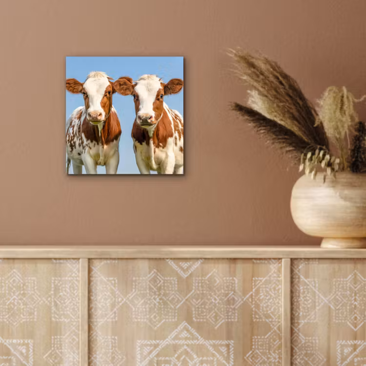 Koeien - Lucht - Dieren - Boerderij - Portret aluminium wit klein -sfeer4