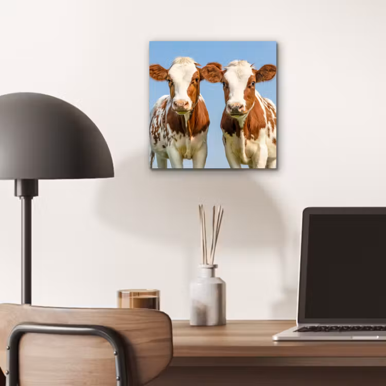Koeien - Lucht - Dieren - Boerderij - Portret aluminium wit klein -sfeer5