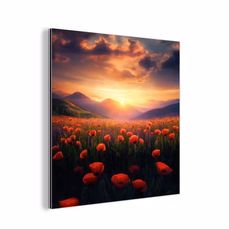 Landschap - Zonsondergang - Bloemenveld aluminium wit klein -3d