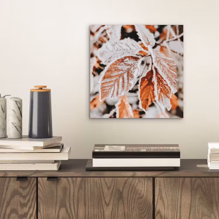 Bladeren - IJs - Winter - Natuur aluminium wit klein -sfeer1