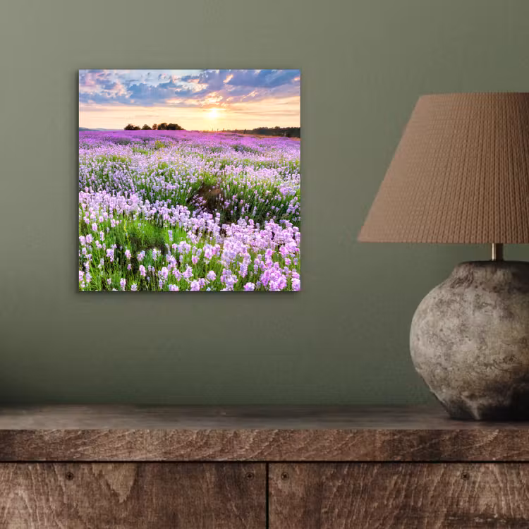 Lavendel - Bloemen - Zonsondergang - Paars - Weide aluminium wit klein -sfeer2