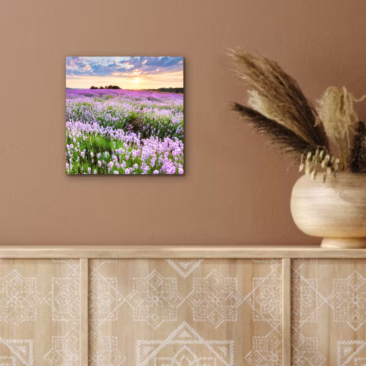 Lavendel - Bloemen - Zonsondergang - Paars - Weide aluminium wit klein -sfeer4