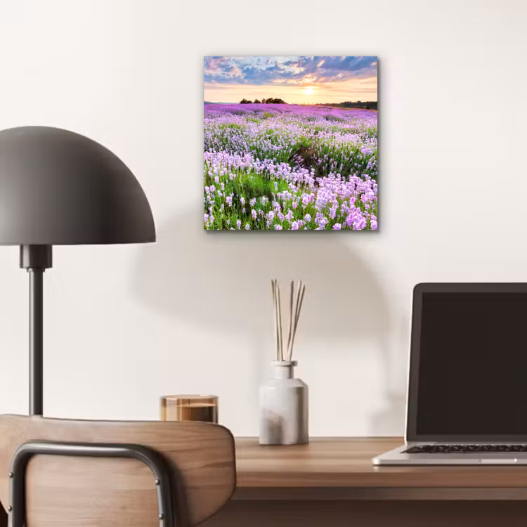 Lavendel - Bloemen - Zonsondergang - Paars - Weide aluminium wit klein -sfeer5