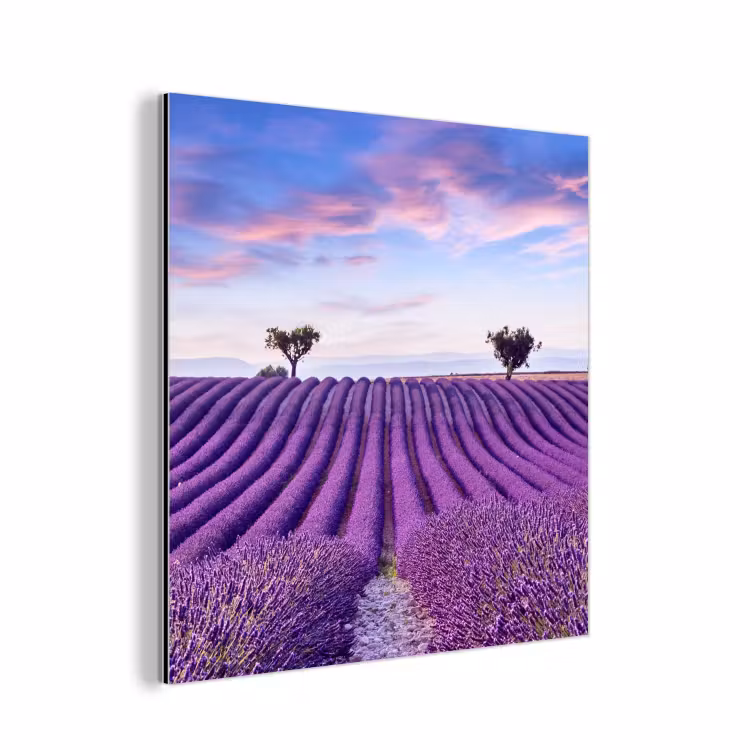 Lavendel - Natuur - Paars - Bomen - Bloemen aluminium wit klein -3d
