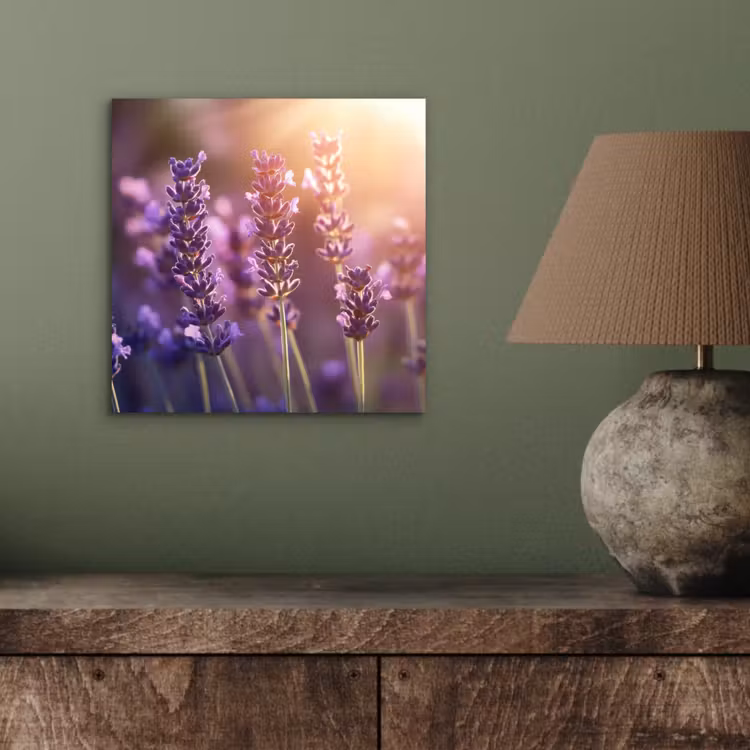 Lavendelbloemen - Paars - Zonlicht aluminium wit klein -sfeer2