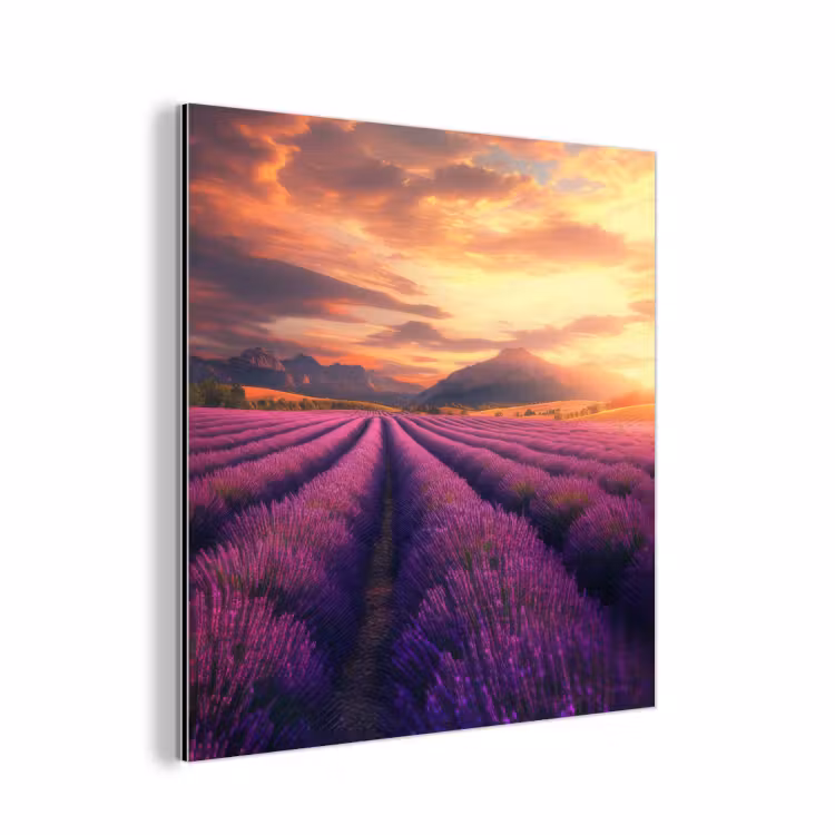 Lavendelveld - Zonsondergang - Paars aluminium wit klein -3d