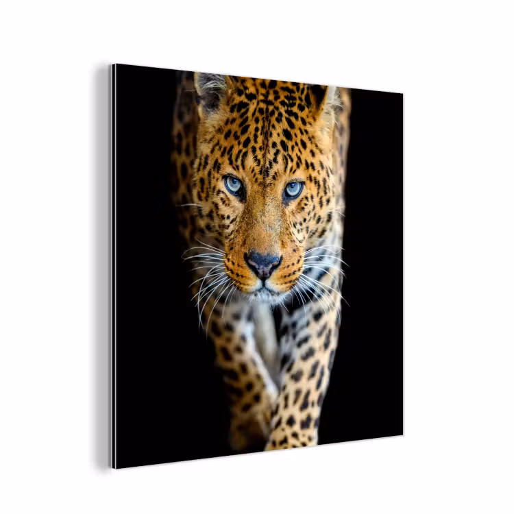 Luipaard - Dieren - Portret - Wilde dieren - Zwart aluminium wit klein -3d