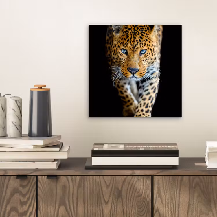 Luipaard - Dieren - Portret - Wilde dieren - Zwart aluminium wit klein -sfeer1