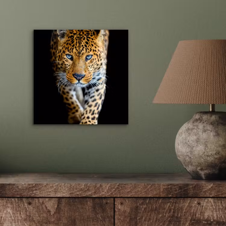 Luipaard - Dieren - Portret - Wilde dieren - Zwart aluminium wit klein -sfeer2