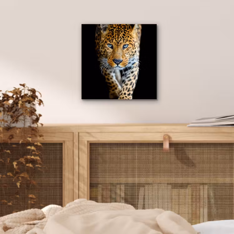 Luipaard - Dieren - Portret - Wilde dieren - Zwart aluminium wit klein -sfeer3