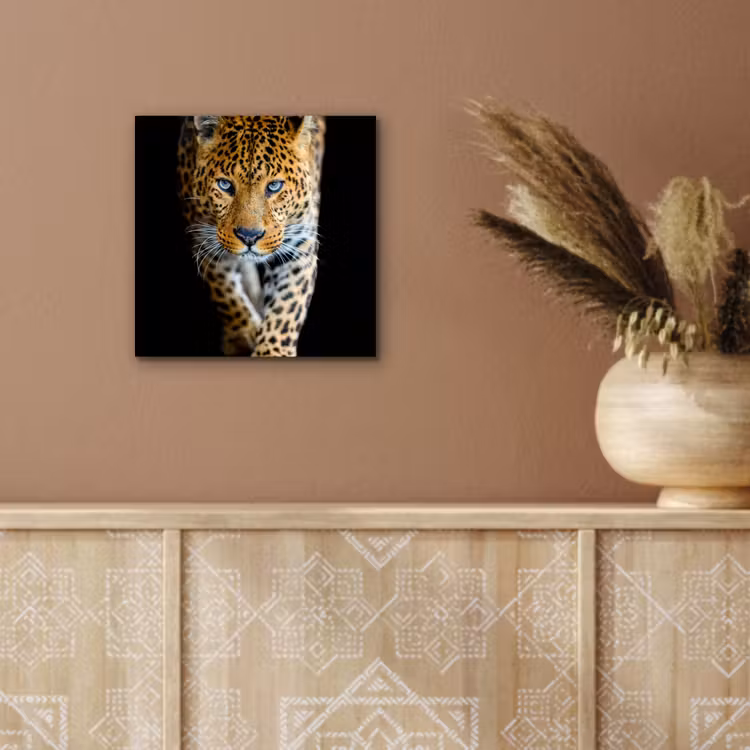Luipaard - Dieren - Portret - Wilde dieren - Zwart aluminium wit klein -sfeer4